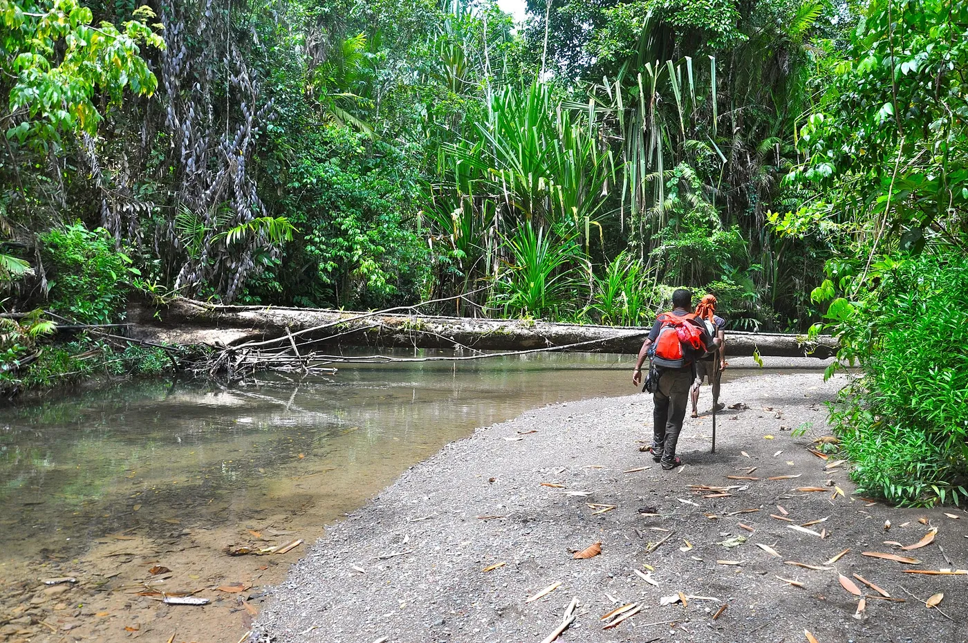 Hikers beside a river surrounded by dense green forest in Manusela National Park on Seram