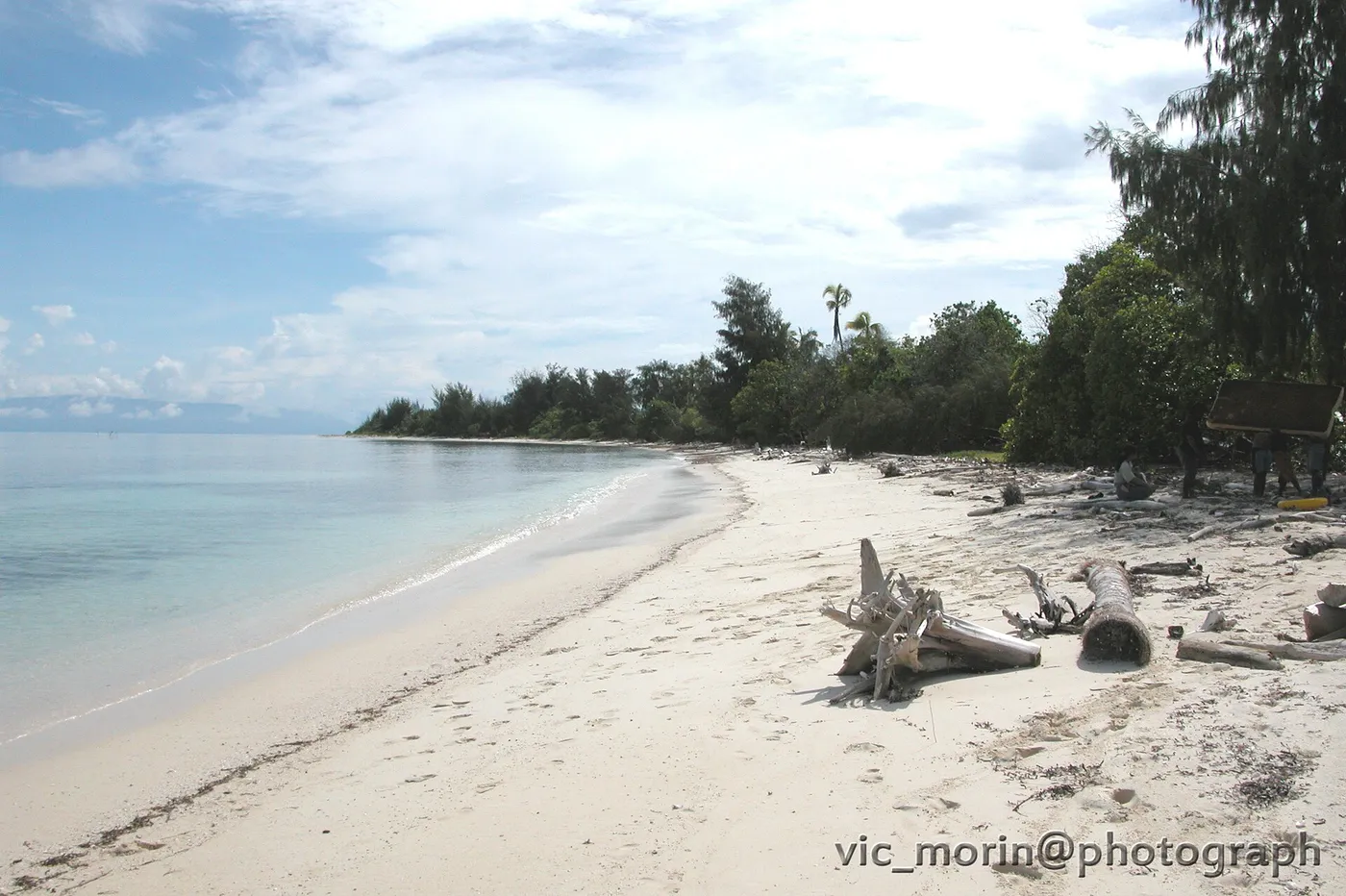 White sand, driftwood and calm blue water at Nusi Babaruk in the Padaido Islands