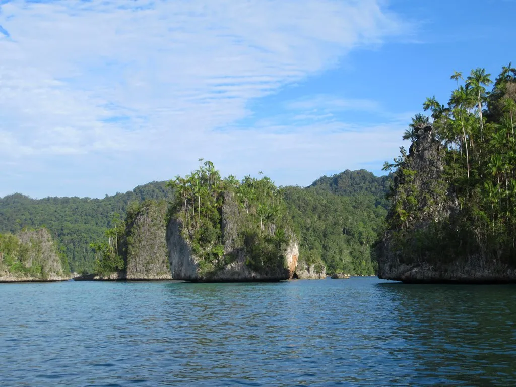 Forested limestone islets rising above blue water in Triton Bay, Kaimana